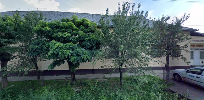 Madarasi Kenyér Kft.