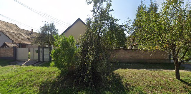 La Vida Kávézó és Pizzéria