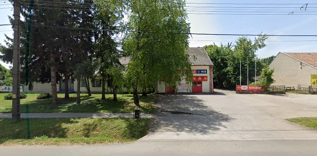 Vineas-Tenkes Kft. - Vendéglátás