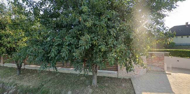 Kiss Családi Pincészet