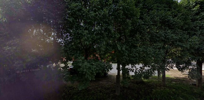 Maxima Fagyizó Kávézó