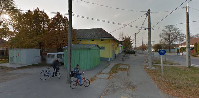 Zöld Bódé fagyizó - Vendéglátás