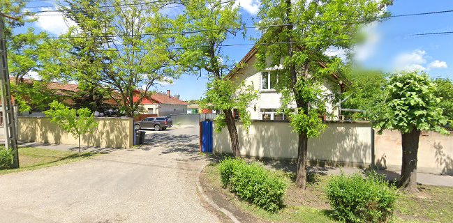 Bora Ital-nagykereskedelem