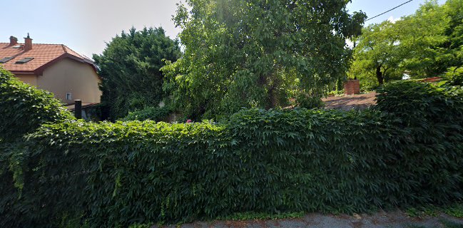 Borköltők Társasága Pince Étterem