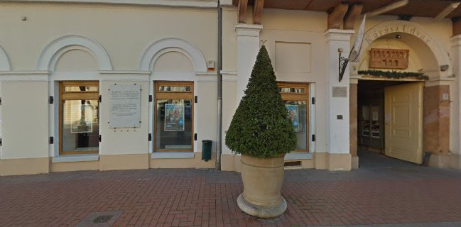 Kék Elefánt Kávézó