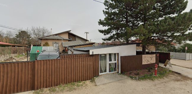 Ricsó Wine kft.-Bor webáruház