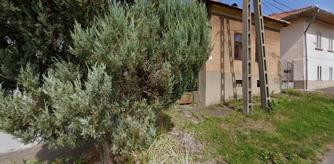 Hollókői Borház Kft.