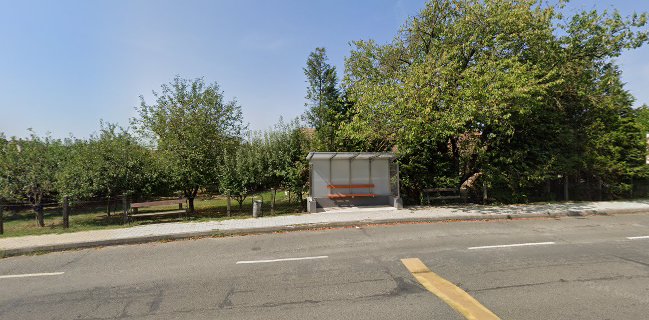 Claudia Cukrászda - Fagyizó