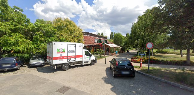 Cavallino - Budapest