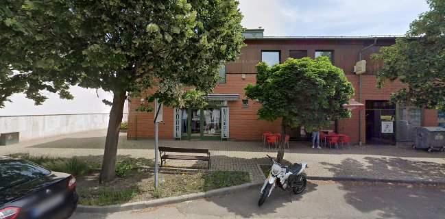 Dunapálma Pecsenyesütő