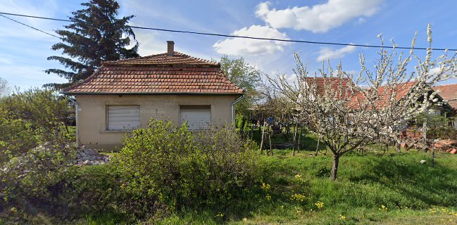 Csetneki Andrea és Társa Bt.