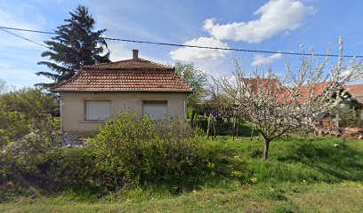 Csetneki Andrea és Társa Bt.