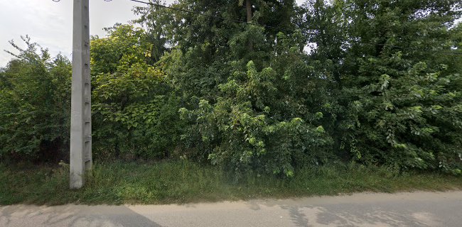 Marketing Product Kft