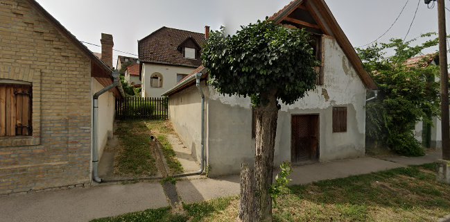 Dúzsi Tamás Pincéje