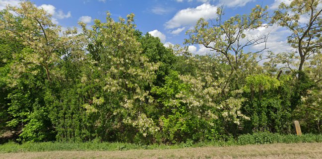 Szegfű csárda (régi idők emléke)