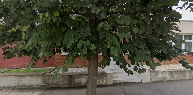 Papír Sárkány Ázsiai Étterem és Pizzéria