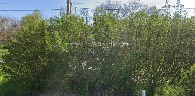 Páty, Torbágyi úti pincesor, 2071