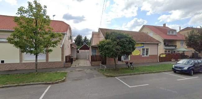 Kovács&Szegedi kft.