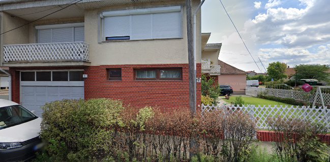 Venyige Vadkert Kft.