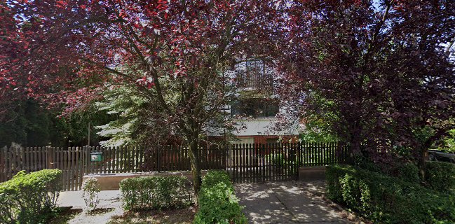 Cselőtei és Társa Bt.