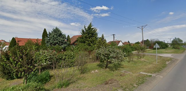 Comentarii opinii despre Desszert Világ Cukrászműhely