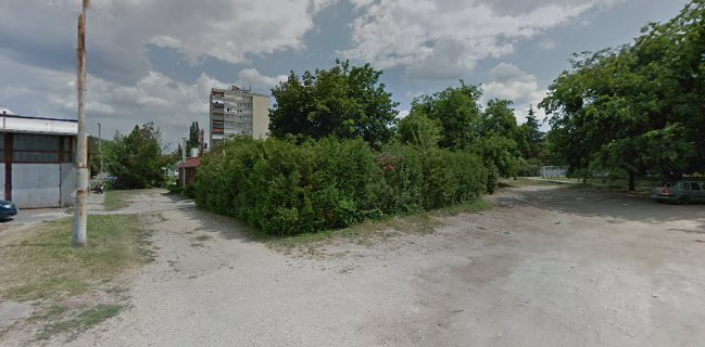 Palotakerti Fagyizó