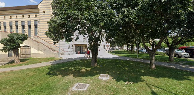 Gubi Reform Pékség