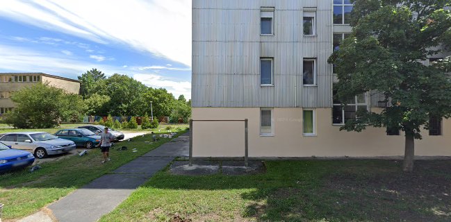 szociális étkeztetés