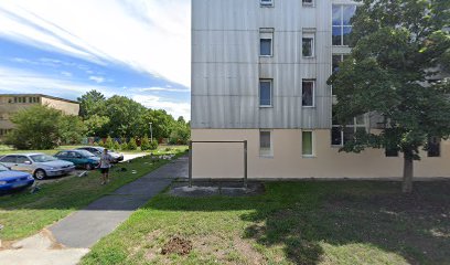 szociális étkeztetés