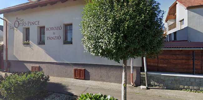 Ottó Pince Borozó és Panzió