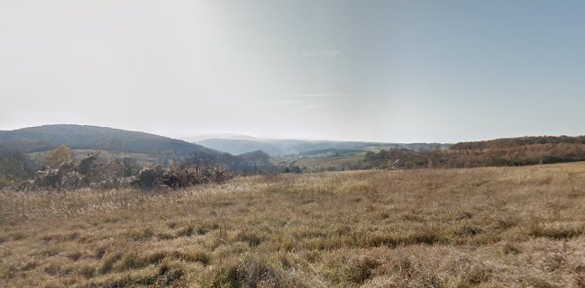 Taverna Görög Vendéglő