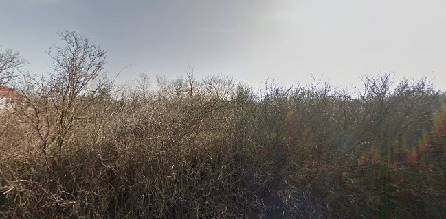 Petzinger Judit Cukrász Bt.