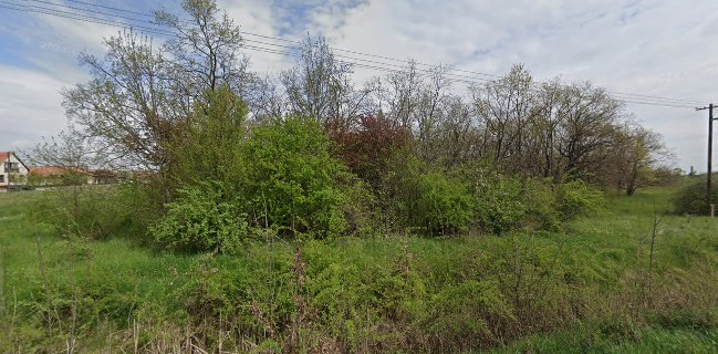 Pálinkafőző Karcag - Cefredoktor