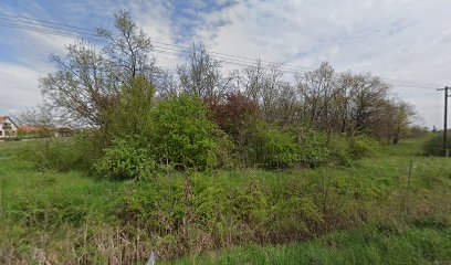 Pálinkafőző Karcag - Cefredoktor