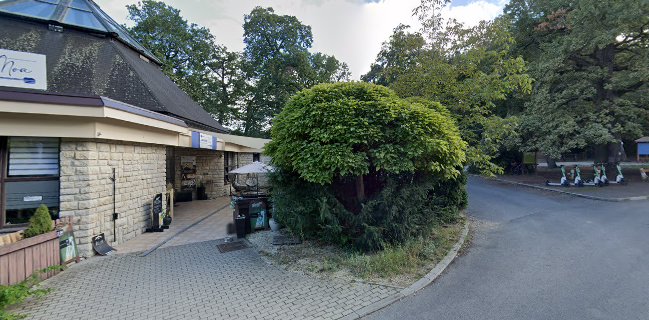 Opinii despre Simons Restaurant în Sopron - Vendéglátás