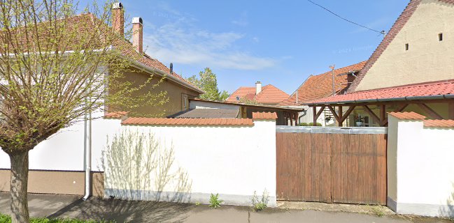 Cseke és Társai Kft.