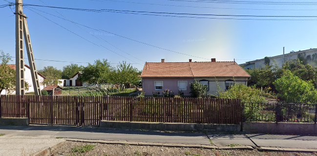 Szemánné Medve Judit