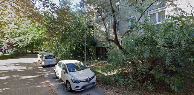 COOL DRINKS TEAM Kft.