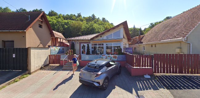 Sweet-Ice Bt. - Bayer Cukrászda