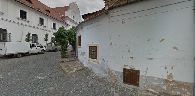 Mickey's Chicken & Burger - Szentendre