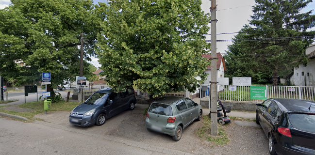 Bor és pálinka szaküzlet