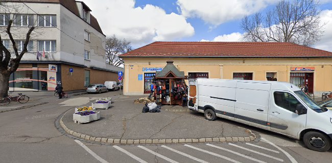 Reinpold KOLBice - Cegléd