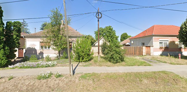 Pizza Paradicsom Szőreg