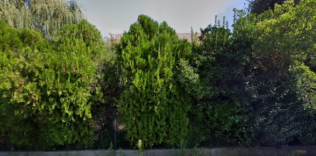 Autós Kisvendéglő