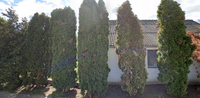 Fortuna Presszó és Nemzeti Dohánybolt