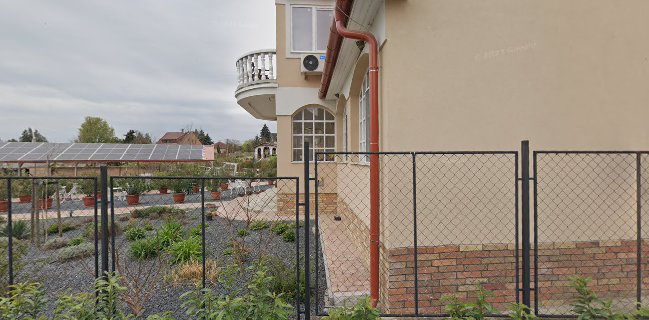 Mayer Cake Cukrászda