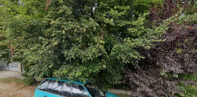 Diófa Vendéglő és Pizzéria / Rábapatona / Bilibáncs Alapítvány