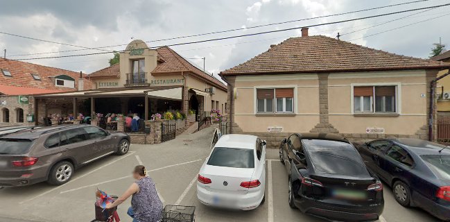 VADVIRÁG ÉTTEREM RESTAURANT