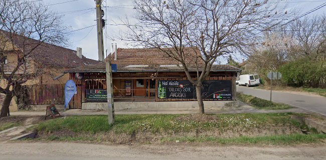 Elixiro Italszaküzlet - Maglód